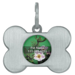 Placa Para Mascotas flores rosadas rojas salvajes en verde, Elegante