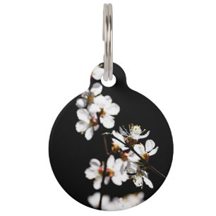 Placa Para Mascotas Flores sakura