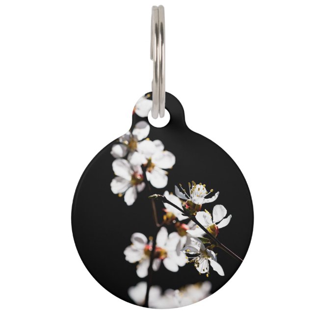 Placa Para Mascotas Flores sakura (Anverso)