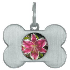 Placa Para Mascotas Flores tropicales rosas lirios rosas florales rosa