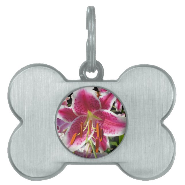 Placa Para Mascotas Flores tropicales rosas lirios rosas florales rosa (Frente)