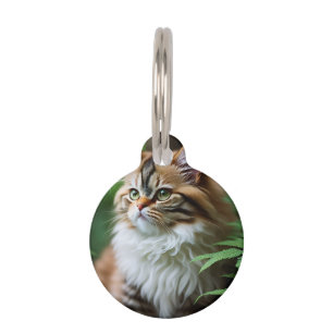 Placa Para Mascotas "Fluff and Cuddle: El gato persa chupado"