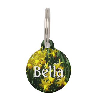 Placa Para Mascotas Focos amarillos y flores de primavera alegres