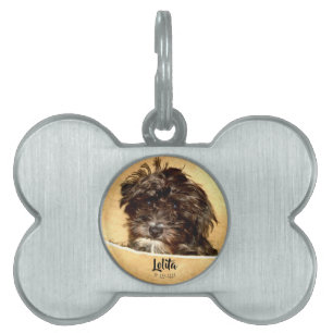 Placa Para Mascotas Forma de hueso de perro de Schnoodle