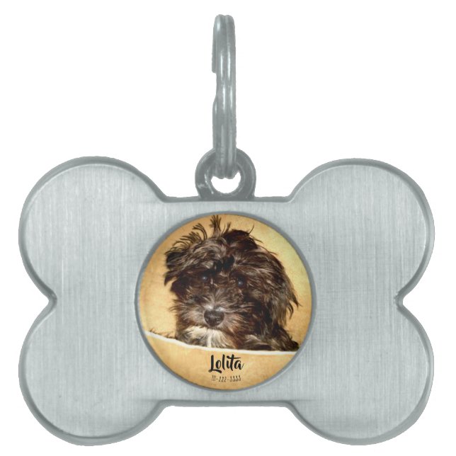 Placa Para Mascotas Forma de hueso de perro de Schnoodle (Frente)