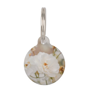 Placa Para Mascotas Foto de flores de rosa blancas soñadoras e informa