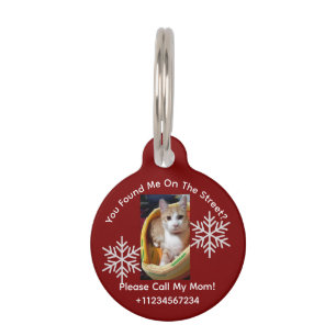 Placa Para Mascotas Foto de gato ginger y texto, personalizable, Navid