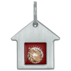 Placa Para Mascotas Foto de gato , Nombre, Personalizar,
