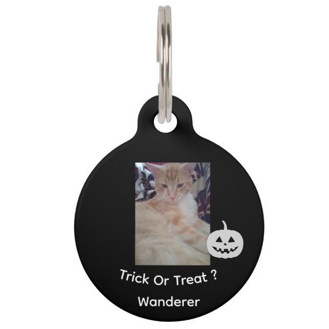 Placa Para Mascotas Foto de gato, texto de Halloween, nombre, Personal (Anverso)