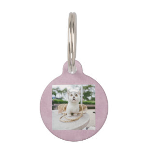 Placa Para Mascotas Foto de gato y código QR   Etiqueta de identificac