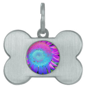 Placa Para Mascotas Foto de girasol retro rosa azul