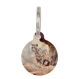 Placa Para Mascotas foto de leopardo nebuloso naturaleza vida silvestr