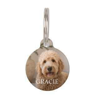 Placa Para Mascotas Foto de mascota moderna simple personalizada