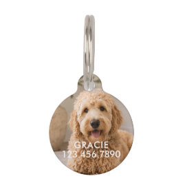 Placa Para Mascotas Foto de mascota moderna simple personalizada
