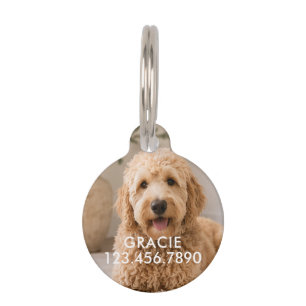 Placa Para Mascotas Foto de mascota moderna simple personalizada