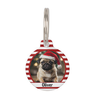 Placa Para Mascotas Foto de mascota personalizada