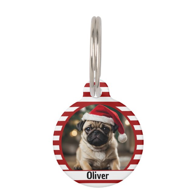 Placa Para Mascotas Foto de mascota personalizada (Anverso)