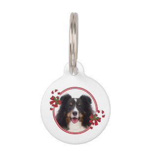 Placa Para Mascotas Foto de mascota personalizada con bastones de cara