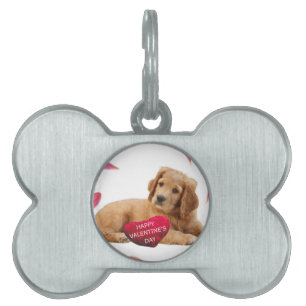 Placa Para Mascotas Foto de perro el día de San Valentín