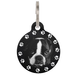 Placa Para Mascotas Foto de perro mascota y número de identificación s