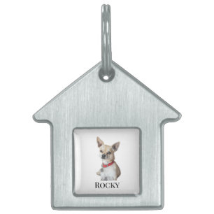 Placa Para Mascotas Foto de perro personalizada Nombre de mascota pe