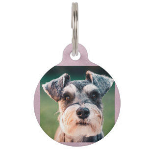 Placa Para Mascotas Foto de perro y código QR   Etiqueta de identifica