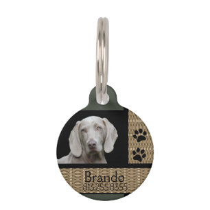 Placa Para Mascotas Foto de Personalizado de perro