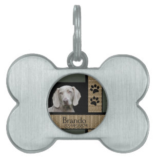 Placa Para Mascotas Foto de Personalizado de perro