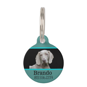 Placa Para Mascotas Foto de Personalizado de perro