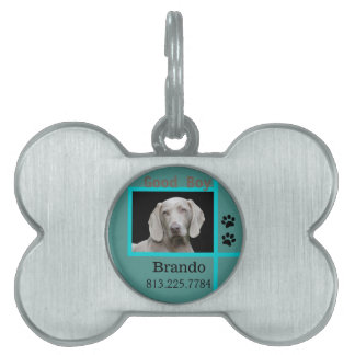 Placa Para Mascotas Foto de Personalizado de perro