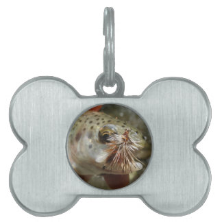Placa Para Mascotas Foto de Rainbow Trout