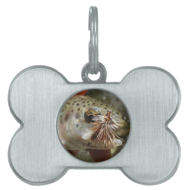 Placa Para Mascotas Foto de Rainbow Trout (Frente)