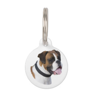 Placa Para Mascotas Foto de retrato de perro de Boxer