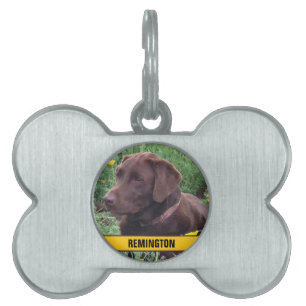 Placa Para Mascotas Foto de su Personalizado y nombre del Mascota