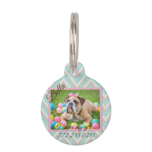 Placa Para Mascotas Foto del Personalizado del perro de Chevron Pastel