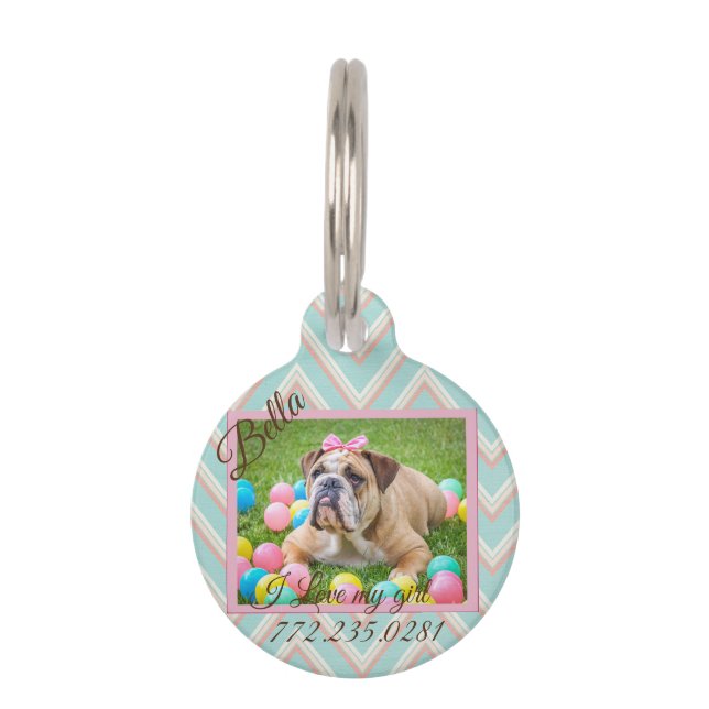Placa Para Mascotas Foto del Personalizado del perro de Chevron Pastel (Anverso)