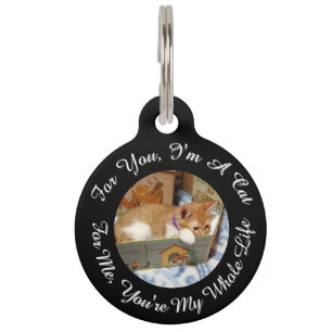 Placa Para Mascotas Foto delantera y trasera Gato, Nombre, Texto, reem