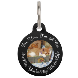 Placa Para Mascotas Foto delantera y trasera Gato, Nombre, Texto, reem