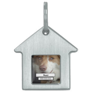 Placa Para Mascotas Foto Mascota