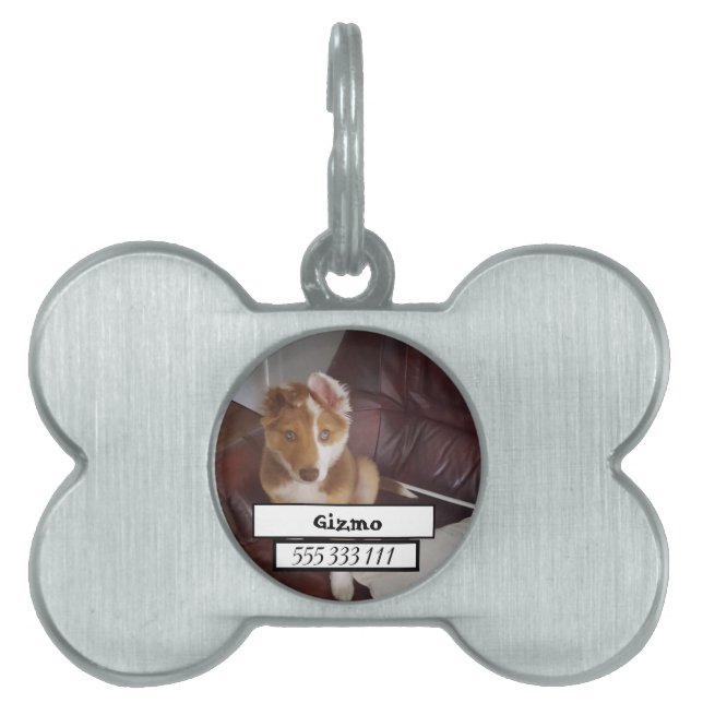 Placa Para Mascotas Foto mascota (Frente)
