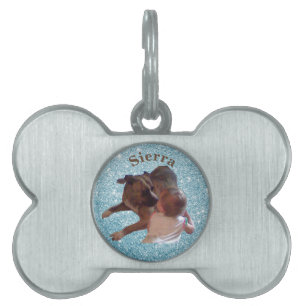 Placa Para Mascotas Foto Mascota personalizada