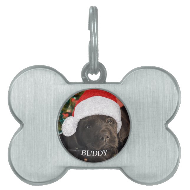 Placa Para Mascotas Foto mascota Personalizada Perro Lover (Frente)