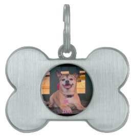 Placa Para Mascotas Foto moderna personalizada de nombre de perro