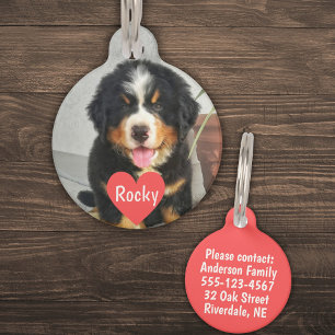 Placa Para Mascotas Foto, nombre y texto personalizados (blanco)