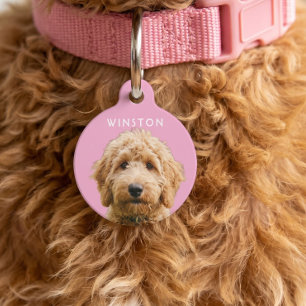 Placa Para Mascotas Foto Perros Personalizados Nombre - LEER DESCRIPCI
