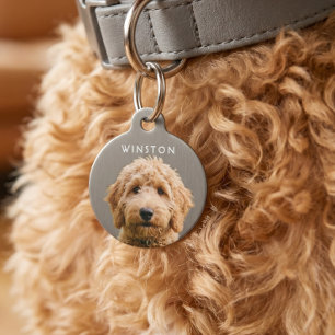 Placa Para Mascotas Foto Perros Personalizados Nombre - LEER DESCRIPCI