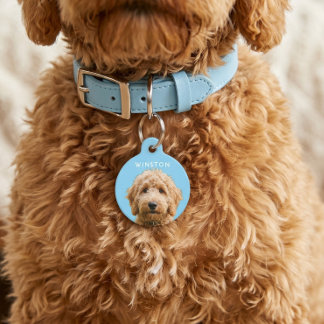 Placa Para Mascotas Foto Perros Personalizados Nombre - LEER DESCRIPCI