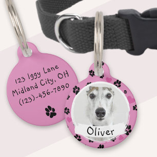 Placa Para Mascotas Foto personalizada de perro Nombre lindo Huellas d