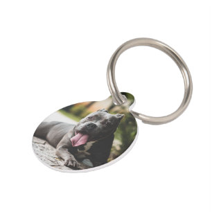 Placa Para Mascotas Foto personalizada en memoria