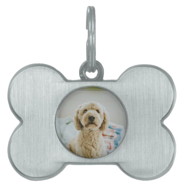 Placa Para Mascotas Foto personalizada personalizada (Frente)